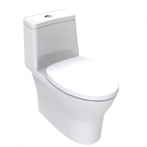 Single Piece Toilet With Seat Cover