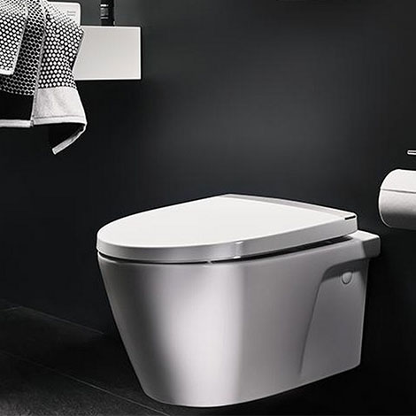 Wall Mount Toilet With Seat Cover